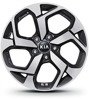 17” Alloy Wheel