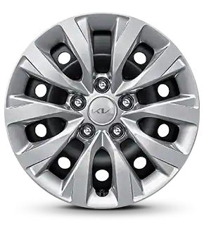 16-inch 205/55 R16 Steel Wheel (wheel cover)
