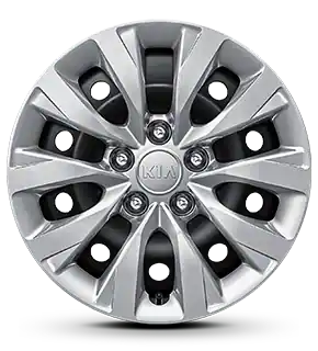 16-inch 205/55 R16 Steel Wheel (wheel cover)