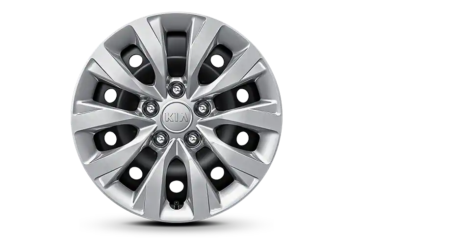 16-inch 205/55 R16 Steel Wheel (wheel cover)