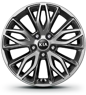 215/55R 17” Alloy Wheel