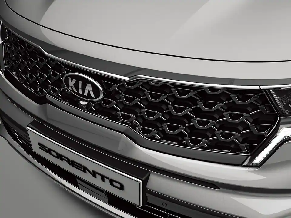 Radiator grill (Glossy black paint)